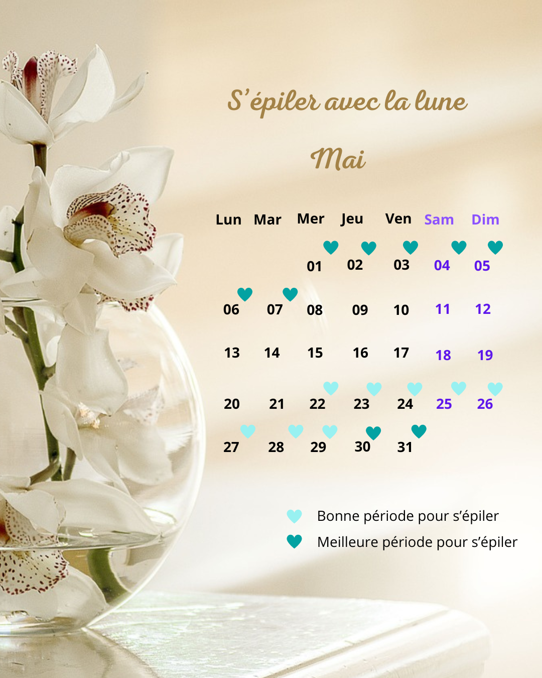 calendrier épilation mai