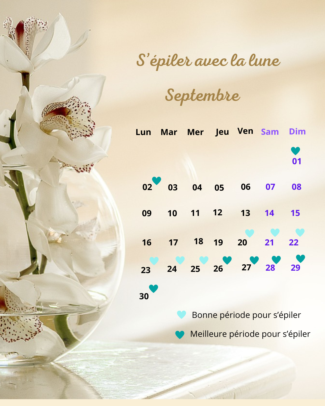 calendrier épilation septembre