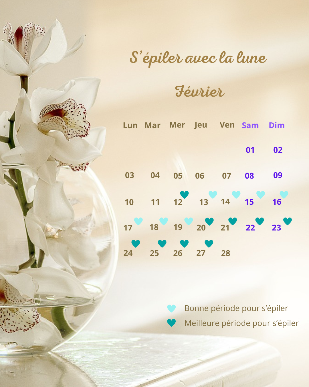 epilation février actualités